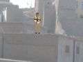 Permainan Operasi sniper  talian