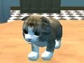 Permainan Simulator Cat: Kitty Craft!  talian