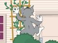 Permainan Tom und Jerry: Wasserbomben Wahnsinn talian