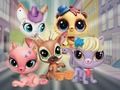 Permainan Little Pet Shop: Sembunyi dan Cari  talian