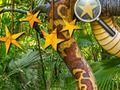 Permainan Bintang Tersembunyi di Hutan talian