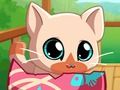 Permainan Haiwan peliharaan saya Pocket Kitty Cat  talian