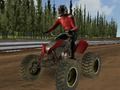 Permainan Perlumbaan motosikal quad  talian