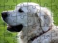 Permainan Puzzle Haiwan Peliharaan talian
