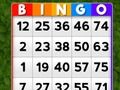 Permainan Bingo talian