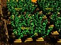Permainan Ladang Pixel talian