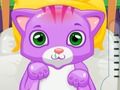 Permainan Doktor Kucing talian