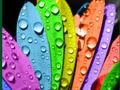 Permainan Warna dan Reka Bentuk talian