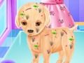 Permainan Pembedahan Anak Anjing Baby Elsa talian