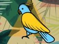 Permainan Mewarnakan Burung Eksotik talian