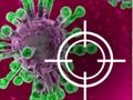 Permainan Hancurkan Virus talian
