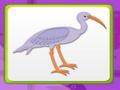 Permainan Ingatan Kanak dengan Burung talian