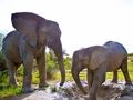 Permainan Teka-teki Gajah talian