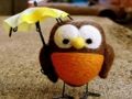 Permainan Teka-teki burung hantu comel talian