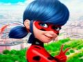 Permainan Koleksi Teka-teki LadyBug Jigsaw  talian