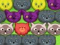 Permainan Kucing pop-pop talian