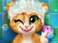 Permainan Mandi Anak kucing berkarat  talian