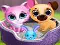 Permainan Kawan Haiwan Peliharaan Comel talian