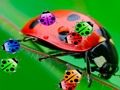 Permainan Pertandingan Ladybug3  talian