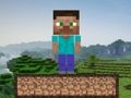 Permainan Kelangsungan Hidup Minecraft  talian