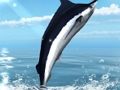Permainan Memancing di Laut Azure talian