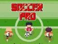 Permainan Bola sepak profesional  talian