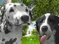 Permainan Penyimulas Anjing 3D talian
