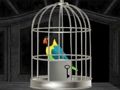 Permainan Burung kakak tua melarikan diri  talian