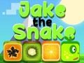 Permainan Jake Ular talian