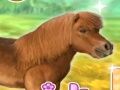 Permainan Pony sayang saya  talian