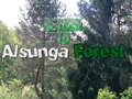 Permainan Kembali Ke Hutan Alsunga  talian