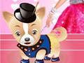 Permainan Pakaian Anjing Barbie  talian