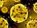 Permainan Gelongsor Coronavirus talian