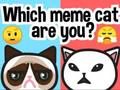 Permainan Kucing meme yang manakah anda? talian