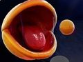 Permainan Pac-Man 3d talian