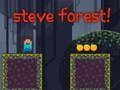 Permainan Steve Forest talian