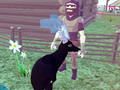 Permainan Simulator Rusa 3D  talian