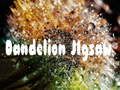Permainan Jigsaw Dandelion  talian