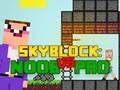 Permainan Noob melawan Pro Skyblock talian
