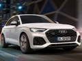 Permainan Slaid Audi SQ5 TDI  talian