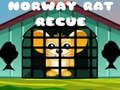 Permainan Penyelamat Tikus Norway  talian