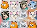 Permainan Perlawanan Anak Kucing3  talian