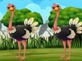 Permainan Cari tag burung unta  talian