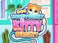 Permainan Doc Pembedahan Kitty HoneyBerry  talian