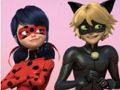 Permainan Teka-teki Kumbang Ajaib & Cat Noir Jigsaw  talian