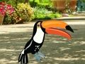 Permainan Cari Pasangan Burung Belatuk  talian