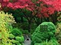 Permainan Melarikan diri Taman Daun Maple  talian