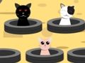 Permainan Tangkap Kucing  talian