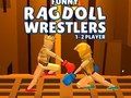 Permainan Ragdoll Wrestlers Lucu  talian
