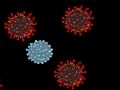 Permainan Bunuh Virus  talian